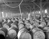 Barrels of turpentine in warehouse