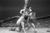 Ricou Browning being cut out of net by another diver as part of a safety demonstration at Silver Springs.