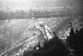 Ricou Browning swimming underwater during filming of "Revenge of the Creature" movie.