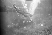 Ricou Browning swimming underwater during filming of "Revenge of the Creature" movie.