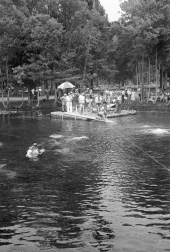 Scene from the filming of "Revenge of the Creature" at Silver Springs.