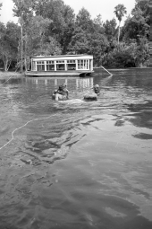 Diver and creature character in the water during filming of "Revenge of the Creature" movie.