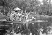 Crew working from floating platform during filming of the "Revenge of the Creature" movie at Silver Springs.