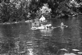 Crew with creature on film location for "Revenge of the Creature" movie at Silver Springs.