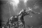 Underwater film crew on set of "Revenge of the Creature" at Silver Springs.