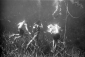 Underwater film crew on set of "Revenge of the Creature" at Silver Springs.