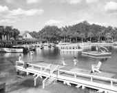 Bird's eye view overlooking Silver Springs.