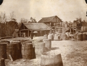 McLeod's turpentine camp on the Ochlockonee River.