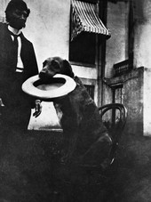 Florida Secretary of State H. Clay Crawford with dog in front of the state capitol - Tallahassee, Florida