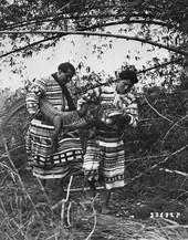 Two Seminoles with roped alligator