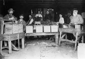 Inside Alexander & Baird's packing house - Beresford, Florida