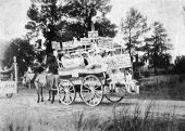 Temperance parade - Eustis, Florida