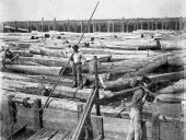 Log boom at Apalachicola