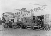 Theodore Strawn's packing house for Bob White oranges - De Leon Springs, Florida