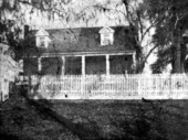 Taylor Plantation