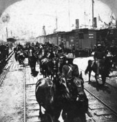 Arrival of the Rough Riders - Tampa, Florida.