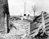 Burned remains of house at abandoned turpentine camp