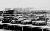 Large storage tanks of turpentine
