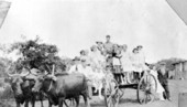 Carter family in Mr. Carter's turpentine wagon - Leon County, Florida