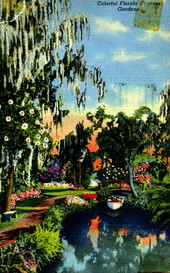 Colorful Florida Cypress Gardens