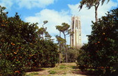 The Singing Tower near Lake Wales, Florida.