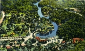 Air view of Silver Springs, Fla.