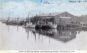 Fleet of shrimp boats and packing house - Fernandina, Florida