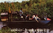 Airboat - Everglades.