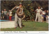 Owen Godwin with python at his Gatorland zoo.