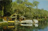 Glass bottom boats docked at Rainbow Springs.