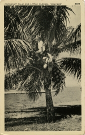 Cocoanut palm and little Florida "Cracker".