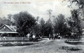 An everyday scene at Ward City.