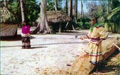 Seminole Charlie Cypress making canoe - Silver Springs, Florida.