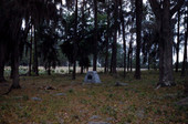 Monument at Dade Battlefield Historic State Park: Bushnell, Florida