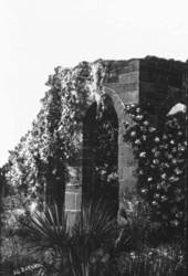 Close-up of building at the New Smyrna Sugar Mill Ruins State Historic Site - Volusia County, Florida