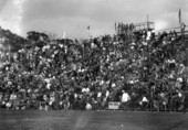 Fans at a University of Miami football game