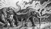 Pleistocene mastodons