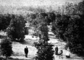 David S. Berkstresser and family at a Hawthorne orange grove