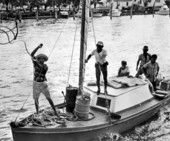 Cuban refugees arriving in the United States