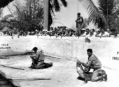 Seminole Indians wrestling alligators.