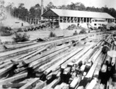 Drew Lumber Company sawmill on the Suwannee River