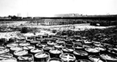 Barrels of turpentine : Nassau County, Florida.