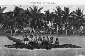 Drawing of African American children on the back of an alligator