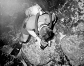 Diver with Mastodon teeth - Wakulla Springs, Florida