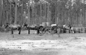 Hauling rosin