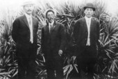 Three Japanese American men posing for a picture