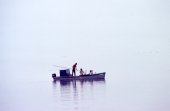 People harvesting oysters - Apalachicola Bay, Florida.