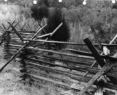 Close up of a fence - Silver Glen Springs