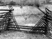 Close up of a fence - Silver Glen Springs