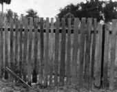 Close up of a fence - Silver Glen Springs